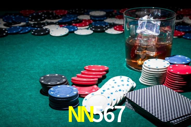 Instruções Download NN567